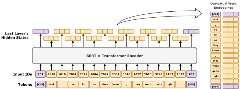 BERT embeddings diagram